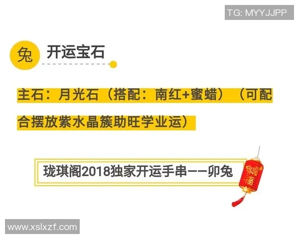 独家解析北京羽毛球队的战术节奏与对手的差异及影响分析
