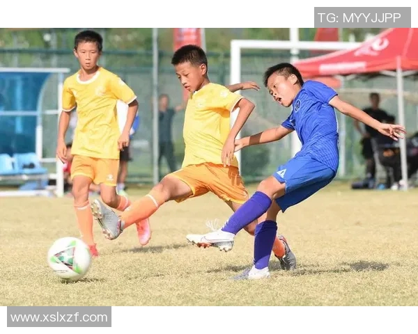 深圳足球队的默契配合揭秘让我们一起领略足球的魅力与激情