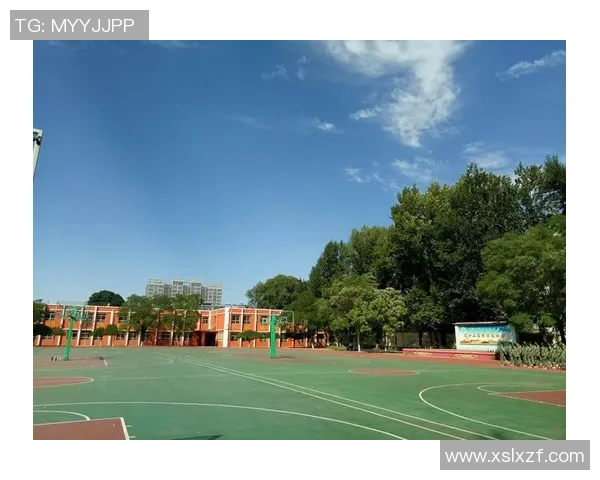 西安篮球队的奋斗历程与成长蜕变全景纪实