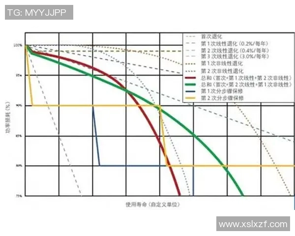 重庆羽毛球队的意识与团队协作探讨及其对竞技水平的影响分析 重庆羽毛球队的意识与团队协作探讨及其对竞技水平的影响分析