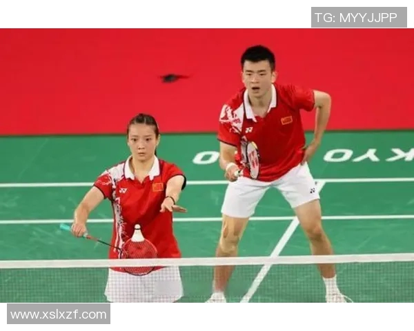 西安羽毛球队挑战赛战术分析与表现评估全景解读 西安羽毛球队挑战赛战术分析与表现评估全景解读