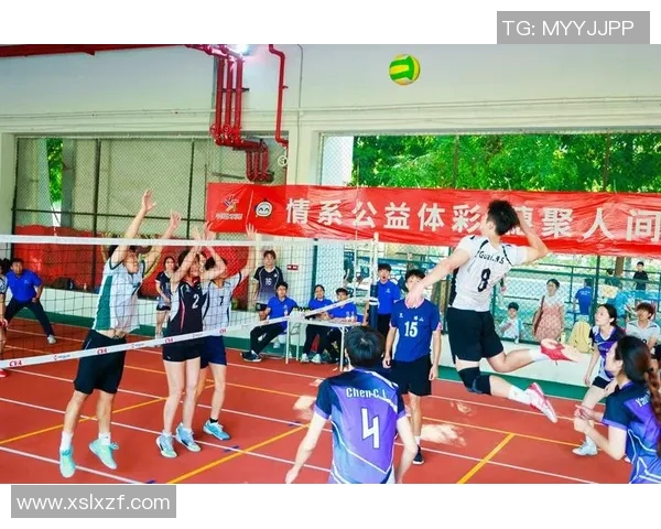 广州排球队选拔赛点评:团队协作展现出色配合与默契精神 广州排球队选拔赛点评:团队协作展现出色配合与默契精神