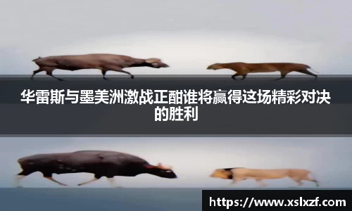 九游体育官网